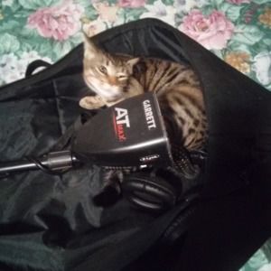 Meet your Posher, Justin